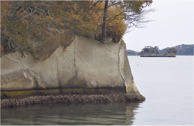 松島の凝灰岩でできた島