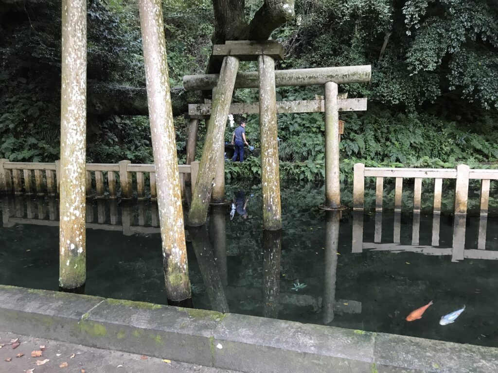 御手洗池