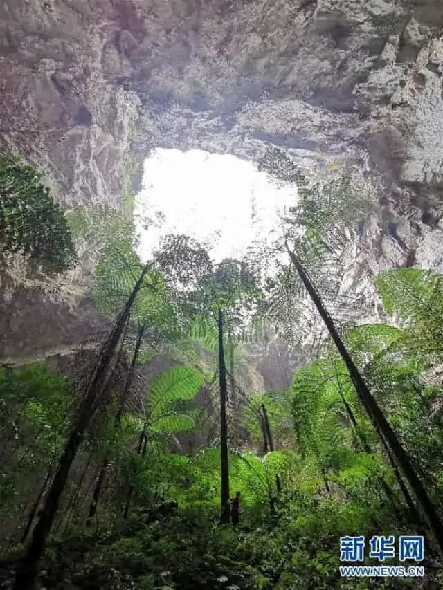 石灰岩台地にできた竪穴